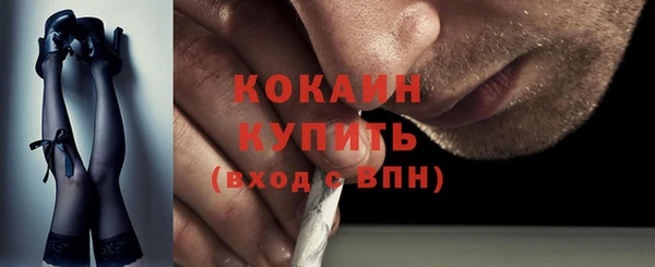 Альфа ПВП Инта