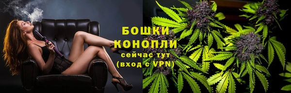 Альфа ПВП Инта
