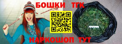 мдпв Бийск