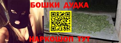 мдпв Бийск