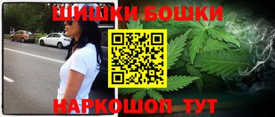 мдпв Бийск