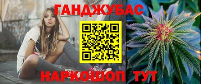 мдпв Бийск