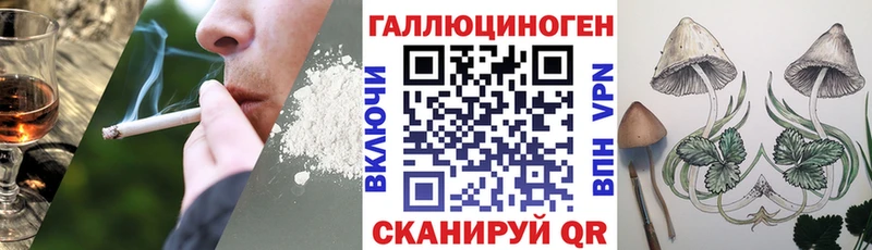 купить Карталы Галлюциногенные грибы Cubensis